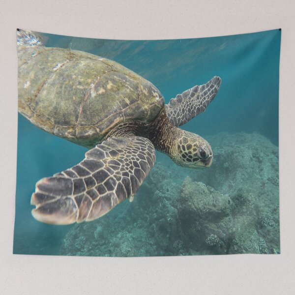 Item preview, Nature's Sea Turtle Underwater in blue green water - in Ocean -  Marine Life designed and sold by guitarkel.