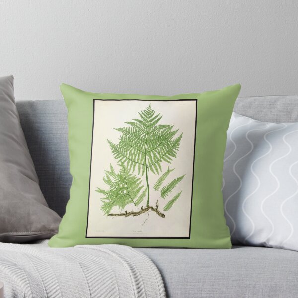 Item preview, Ferns of Great Britain 2 (19th Century) designed and sold by arcane-snake.