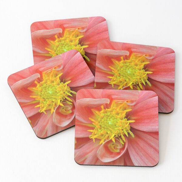 Item preview, Dahlia Petal Curls designed and sold by Tdcc2000.