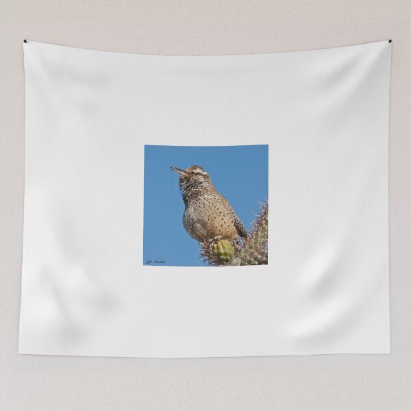 Item preview, Cactus Wren Singing designed and sold by Jeff Goulden Photography.