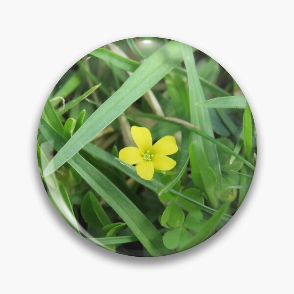 Item preview, Creeping woodsorrel designed and sold by greentiger1.