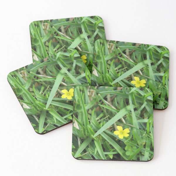 Item preview, Creeping woodsorrel designed and sold by greentiger1.