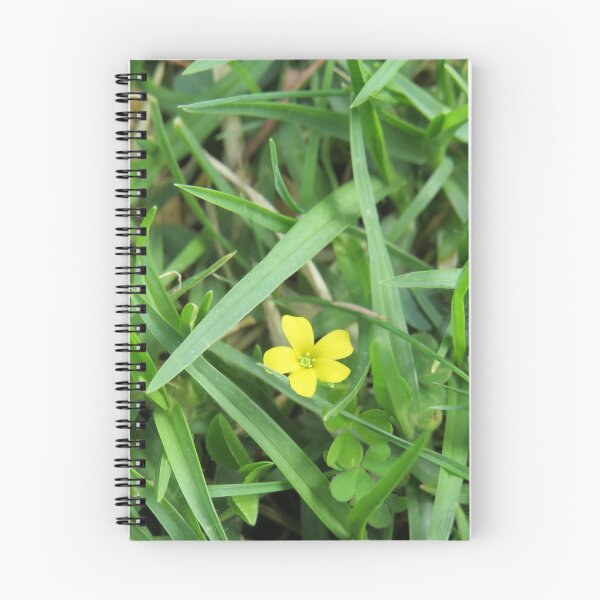 Item preview, Creeping woodsorrel designed and sold by greentiger1.