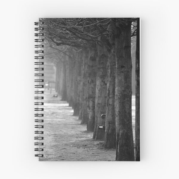 Item preview, Misty Tuileries designed and sold by Tiffany Dryburgh.