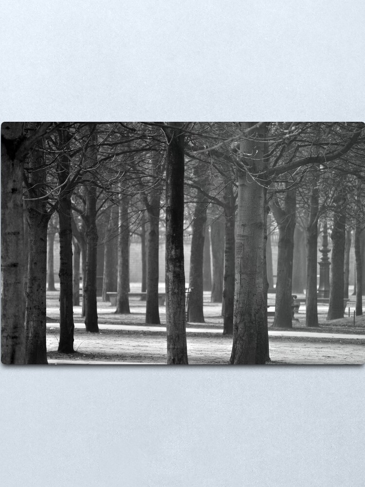 Alternate view of Winter Garden Metal Print