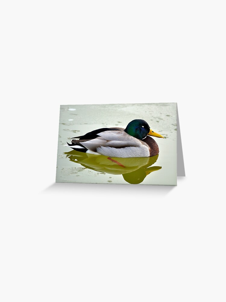 Thumbnail 1 of 2, Greeting Card, Sleeping Peacefully designed and sold by Tiffany.