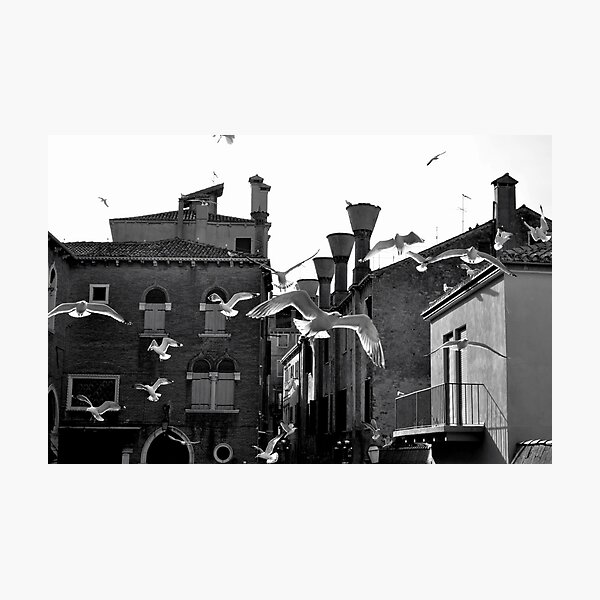 Photographic Print