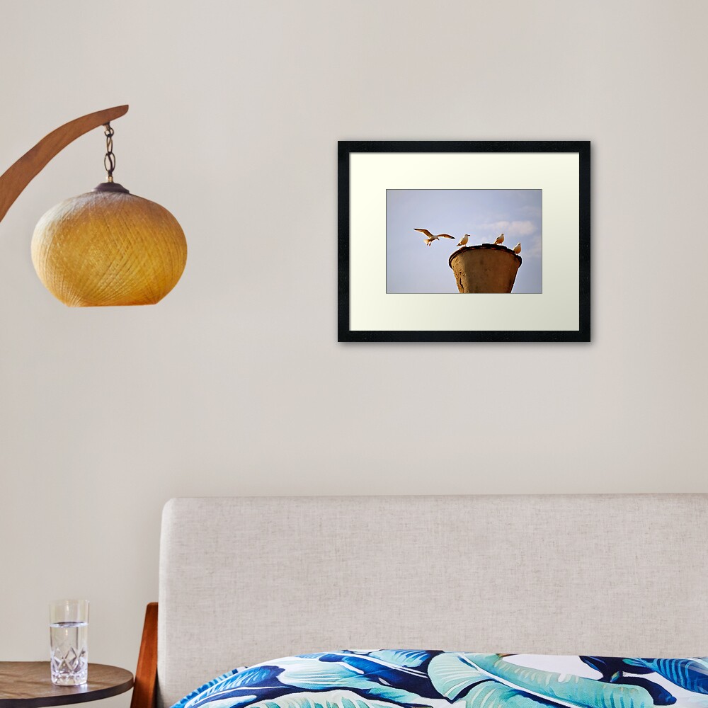 Coming in for a Landing Framed Art Print