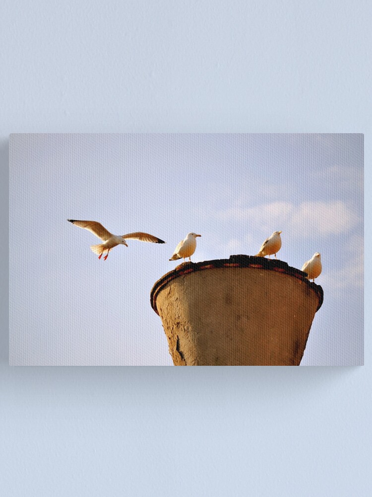 Alternate view of Coming in for a Landing Canvas Print