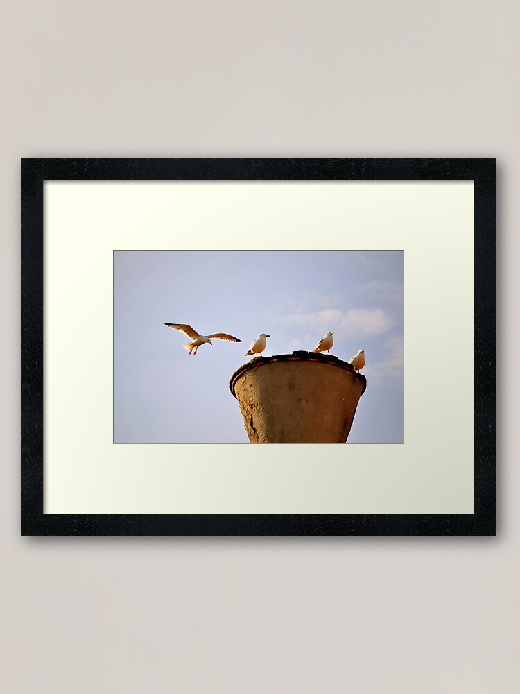 Alternate view of Coming in for a Landing Framed Art Print