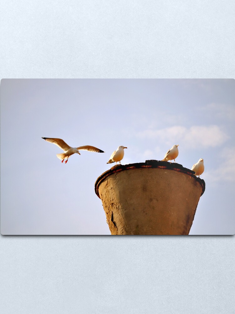Alternate view of Coming in for a Landing Metal Print