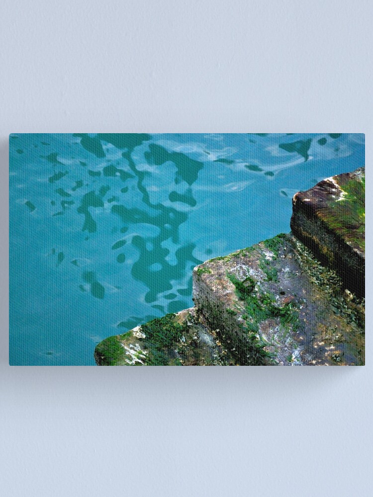 Alternate view of Stepping Out Canvas Print