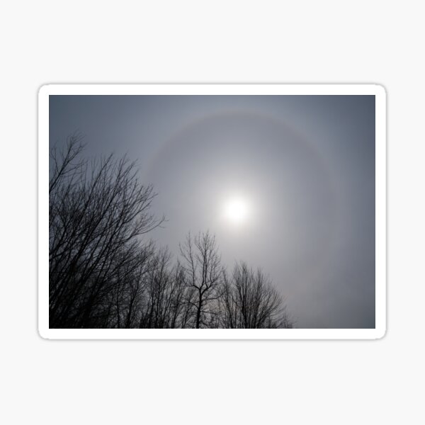 Aperçu de l'œuvre Soleil Halo à travers les arbres créée et vendue par Georgia Mizuleva.