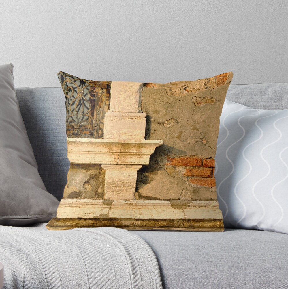Beautifully Decrepit Throw Pillow