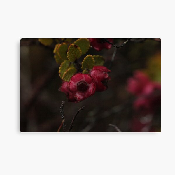Item preview, Taranaki  10 designed and sold by beeden.