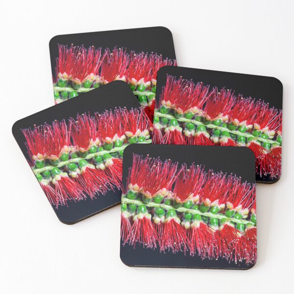 Item preview, Bottlebrush flower Macro photography designed and sold by KWB1950.