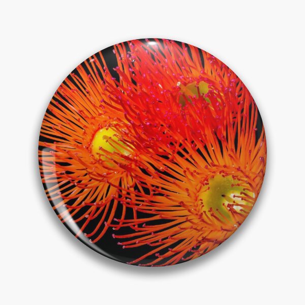Item preview, Flowering gum flower Macro photography designed and sold by KWB1950.