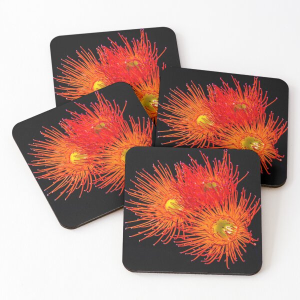 Item preview, Flowering gum flower Macro photography designed and sold by KWB1950.