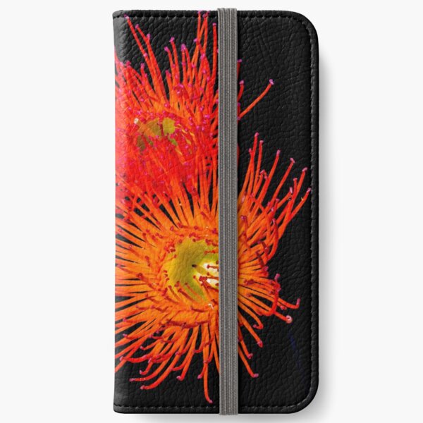 Flowering gum flower Macro photography iPhone Wallet