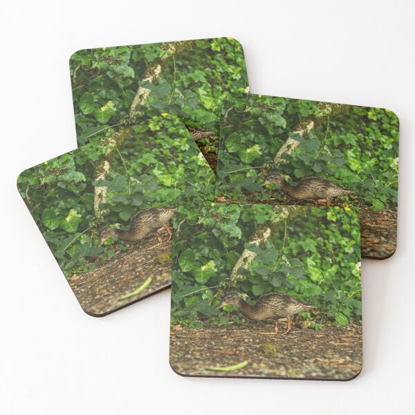 Item preview, A duck walks in a dark Irish forest designed and sold by AlbertMi.