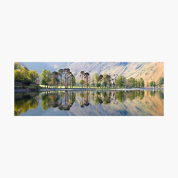 Item preview, Sunrise over 'The Buttermere Pines' designed and sold by Martin Lawrence.