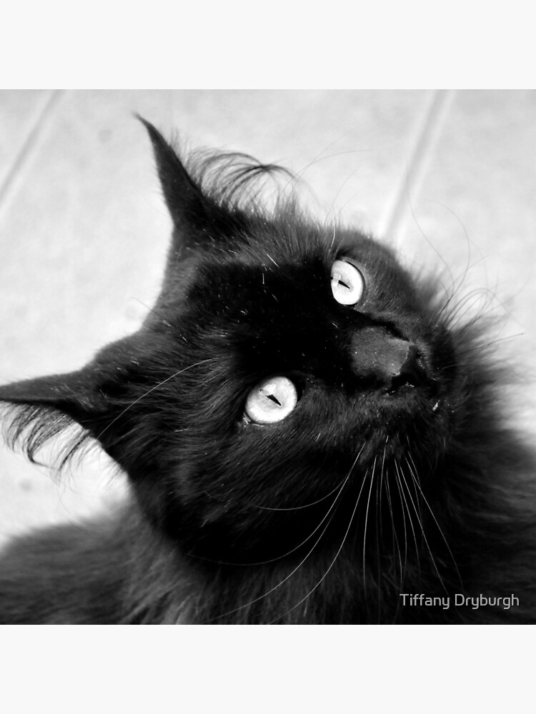 Crazy Hair by Tiffany