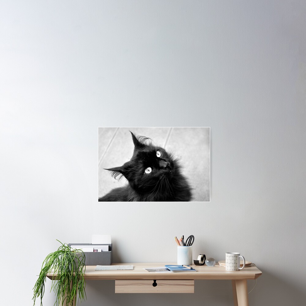 Crazy Hair Poster