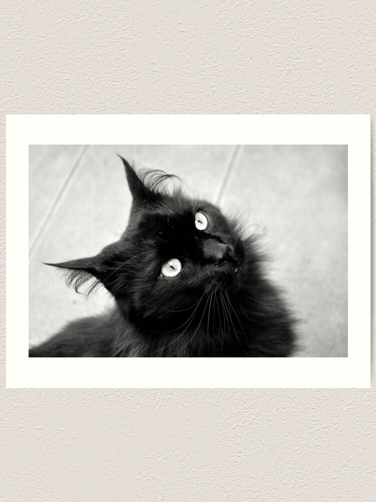 Alternate view of Crazy Hair Art Print