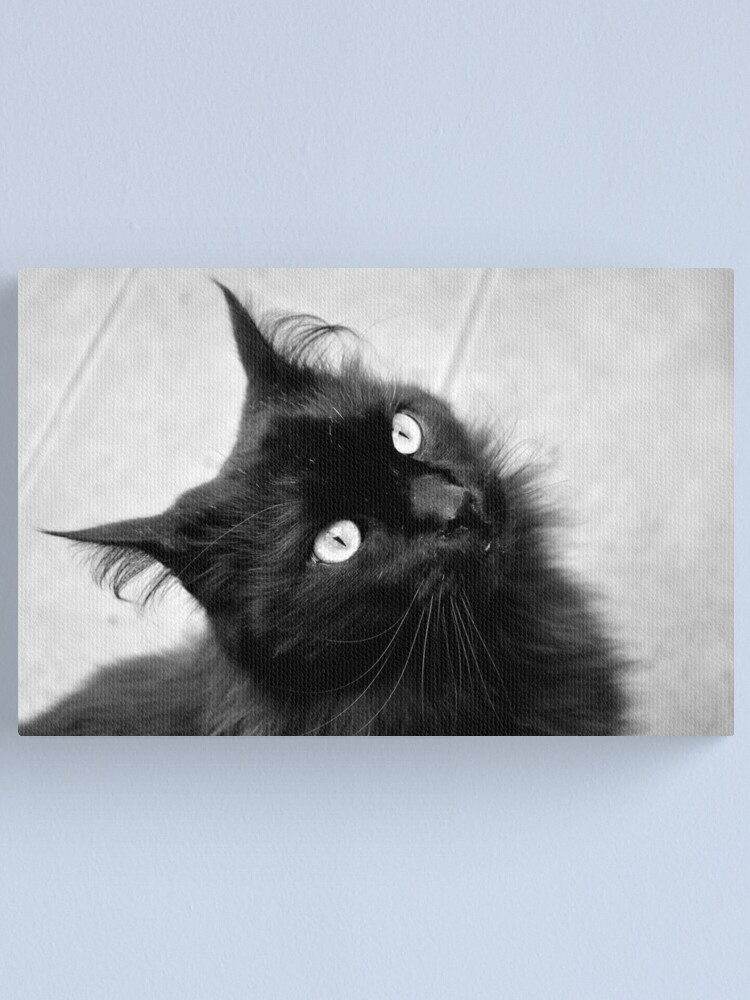 Alternate view of Crazy Hair Canvas Print