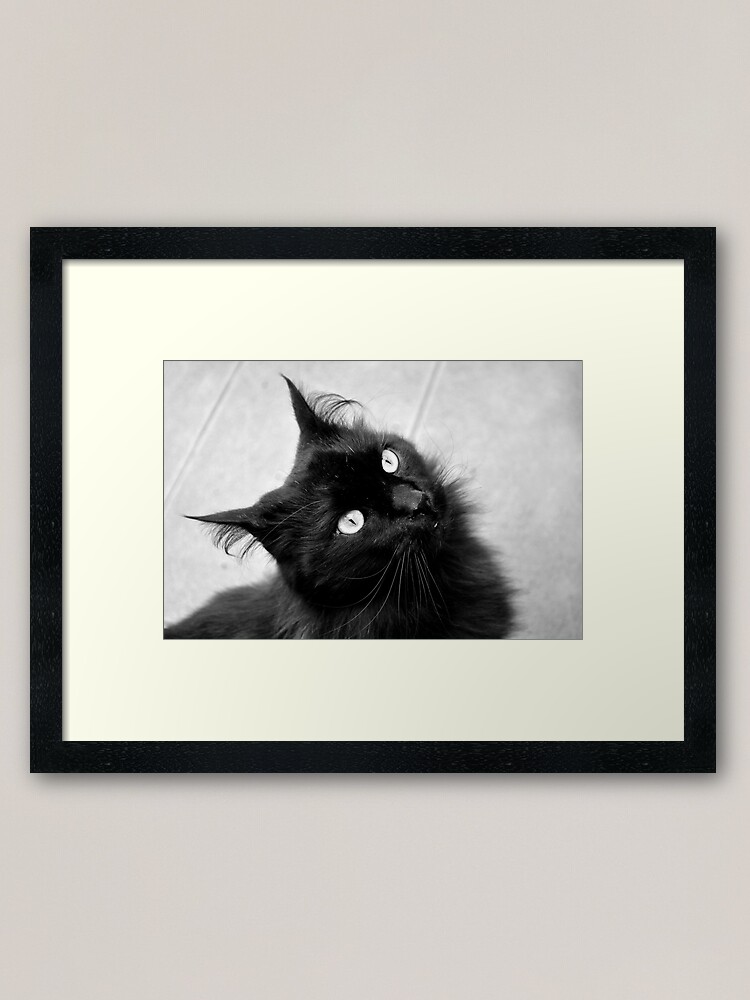 Alternate view of Crazy Hair Framed Art Print
