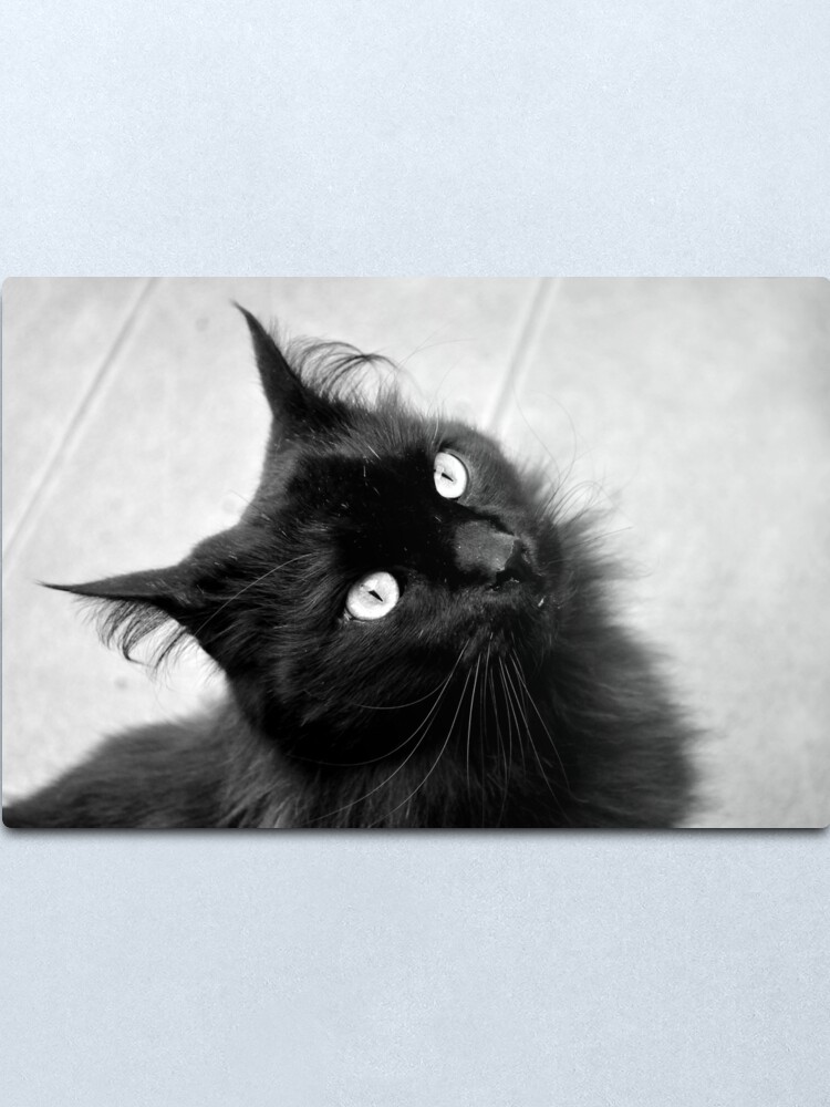 Alternate view of Crazy Hair Metal Print