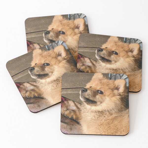 Item preview, Pomeranian puppy Kai designed and sold by Fluffycat2020.