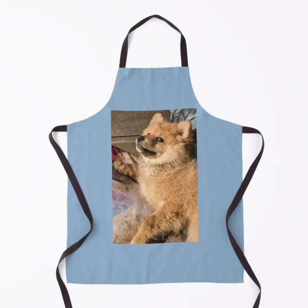 Item preview, Pomeranian puppy Kai designed and sold by Fluffycat2020.