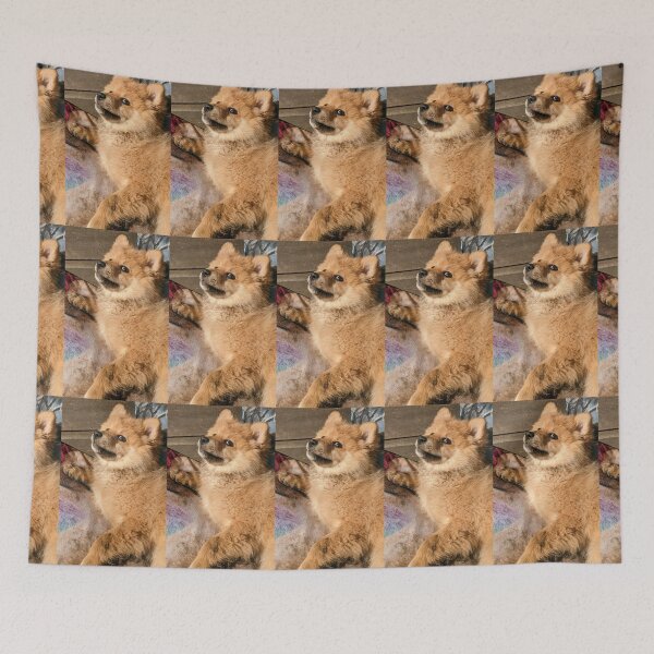 Item preview, Pomeranian puppy Kai designed and sold by Fluffycat2020.