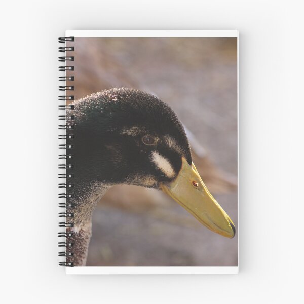 Item preview, this is my ducks males Fritzy! designed and sold by Roswitha Lorz.