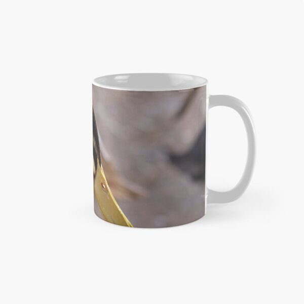 Item preview, this is my ducks males Fritzy! designed and sold by Roswitha Lorz.