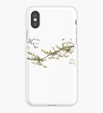 Branches iPhone Case