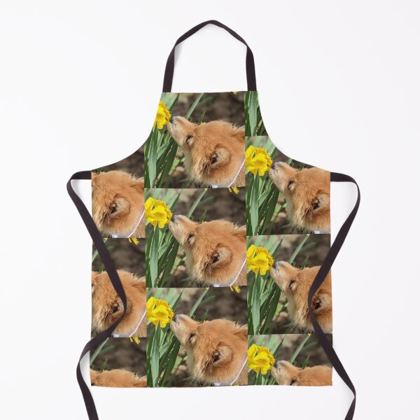 Item preview, Pomeranian puppy Kai designed and sold by Fluffycat2020.