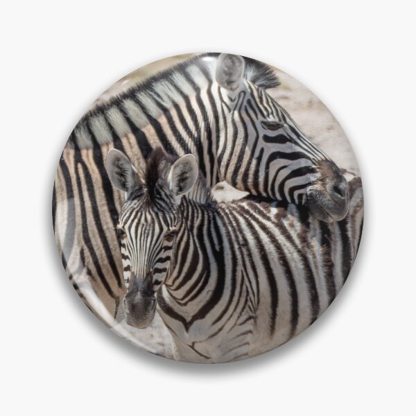 Item preview, Zebra with Foal in Etosha, Namibia designed and sold by holgermader.
