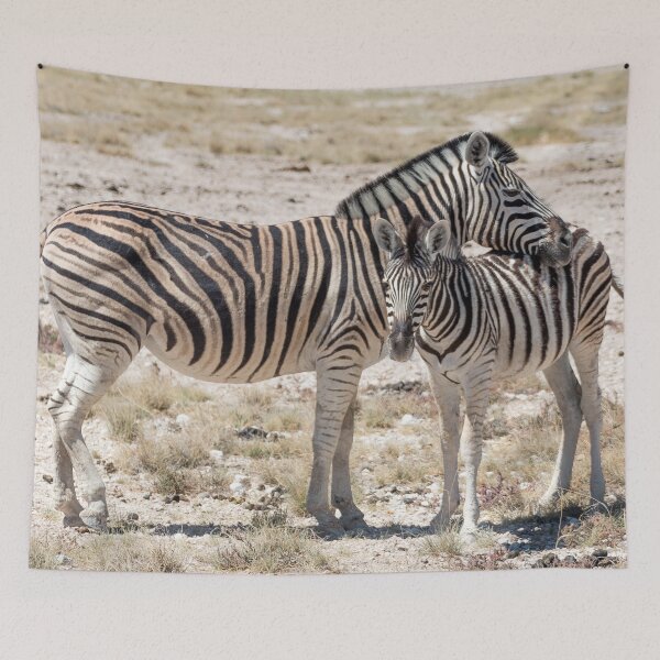 Item preview, Zebra with Foal in Etosha, Namibia designed and sold by holgermader.