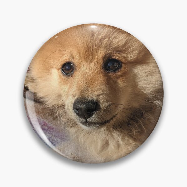 Item preview, Pomeranian puppy Kai designed and sold by Fluffycat2020.