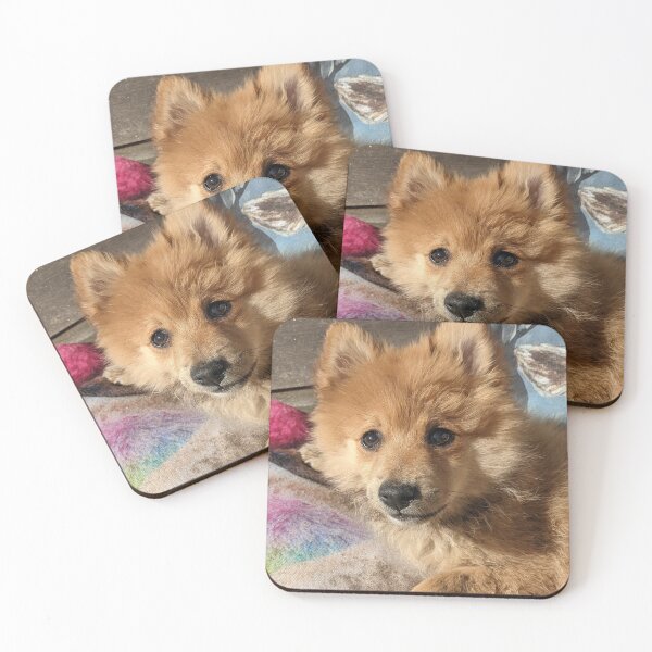 Item preview, Pomeranian puppy Kai designed and sold by Fluffycat2020.
