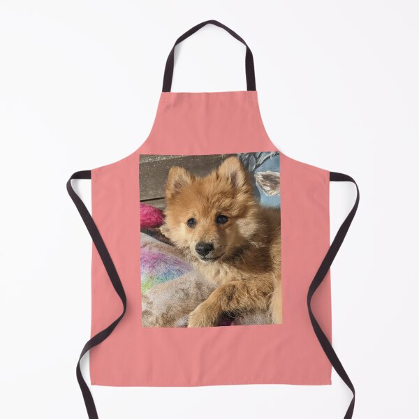 Item preview, Pomeranian puppy Kai designed and sold by Fluffycat2020.