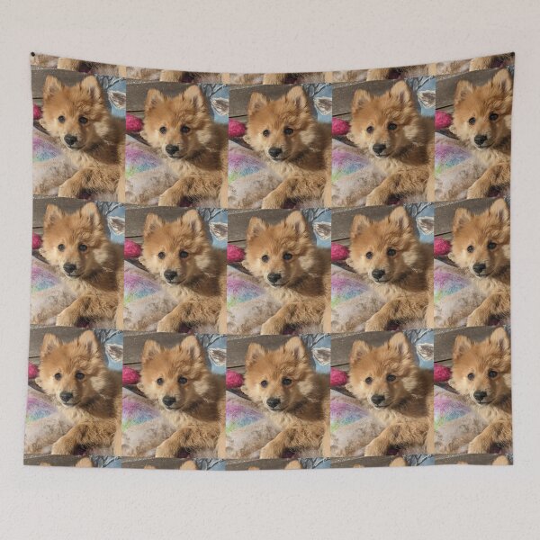 Item preview, Pomeranian puppy Kai designed and sold by Fluffycat2020.