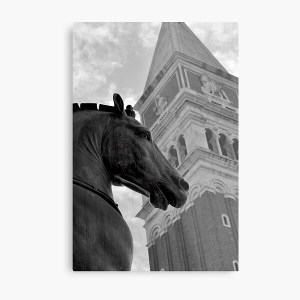 Metal Print