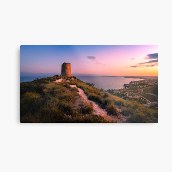 Metal Print