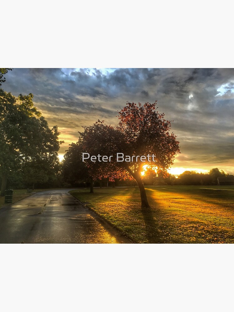 After the rain, comes the Sun by hartrockets