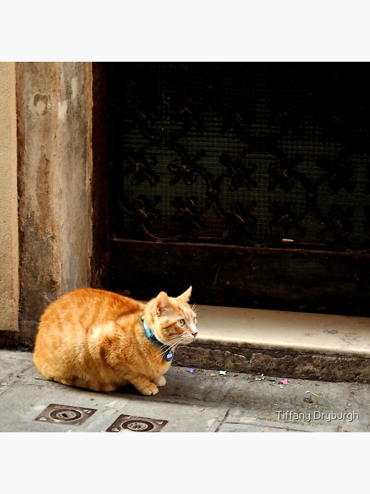I can wait ... by Tiffany