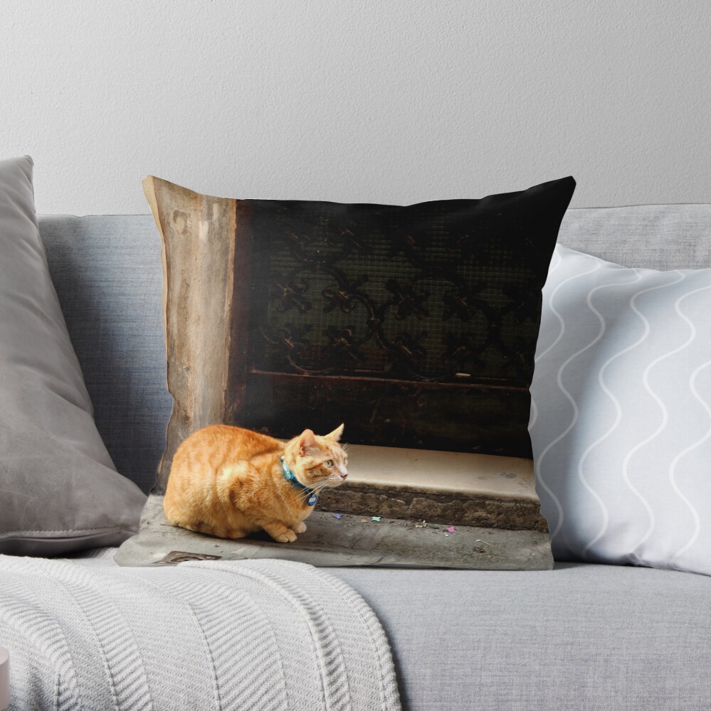 I can wait ... Throw Pillow