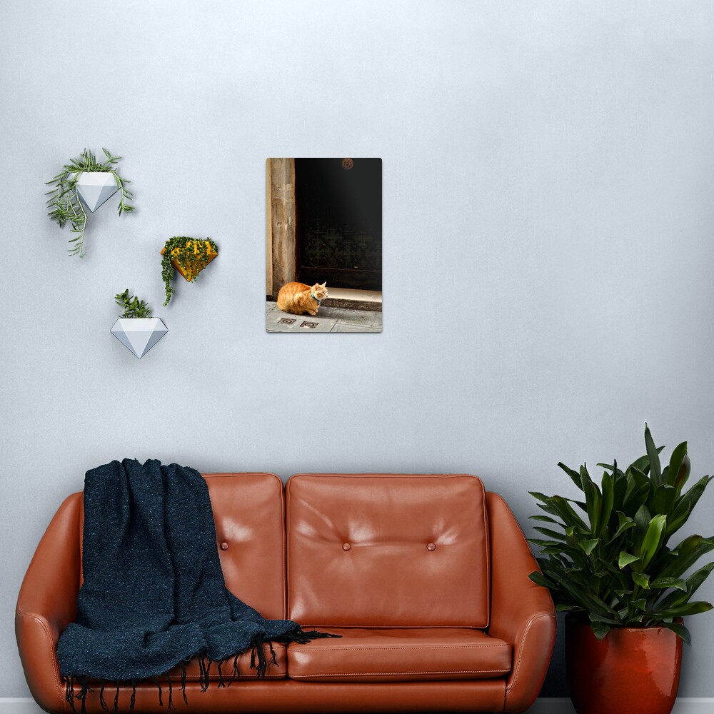 I can wait ... Metal Print